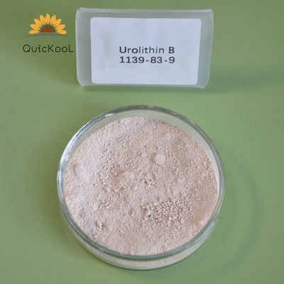 kualitas  99% Purity Urolithin B Raw Powder For Pharmaceutical Intermediates pabrik
