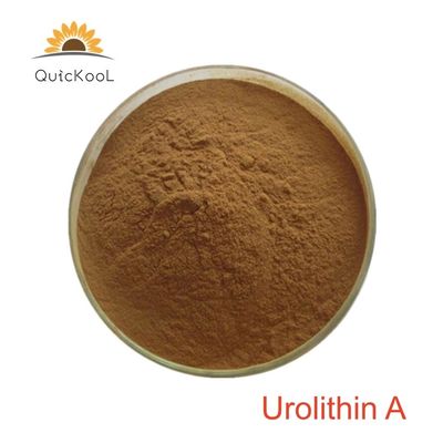 kualitas  Food Grade Anti-Aging Healthcare 98% 99% CAS 1143-70-0 Urolithin A Powder pabrik